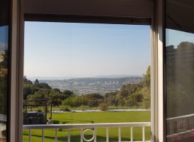 2019-moustiquaire-fenetre